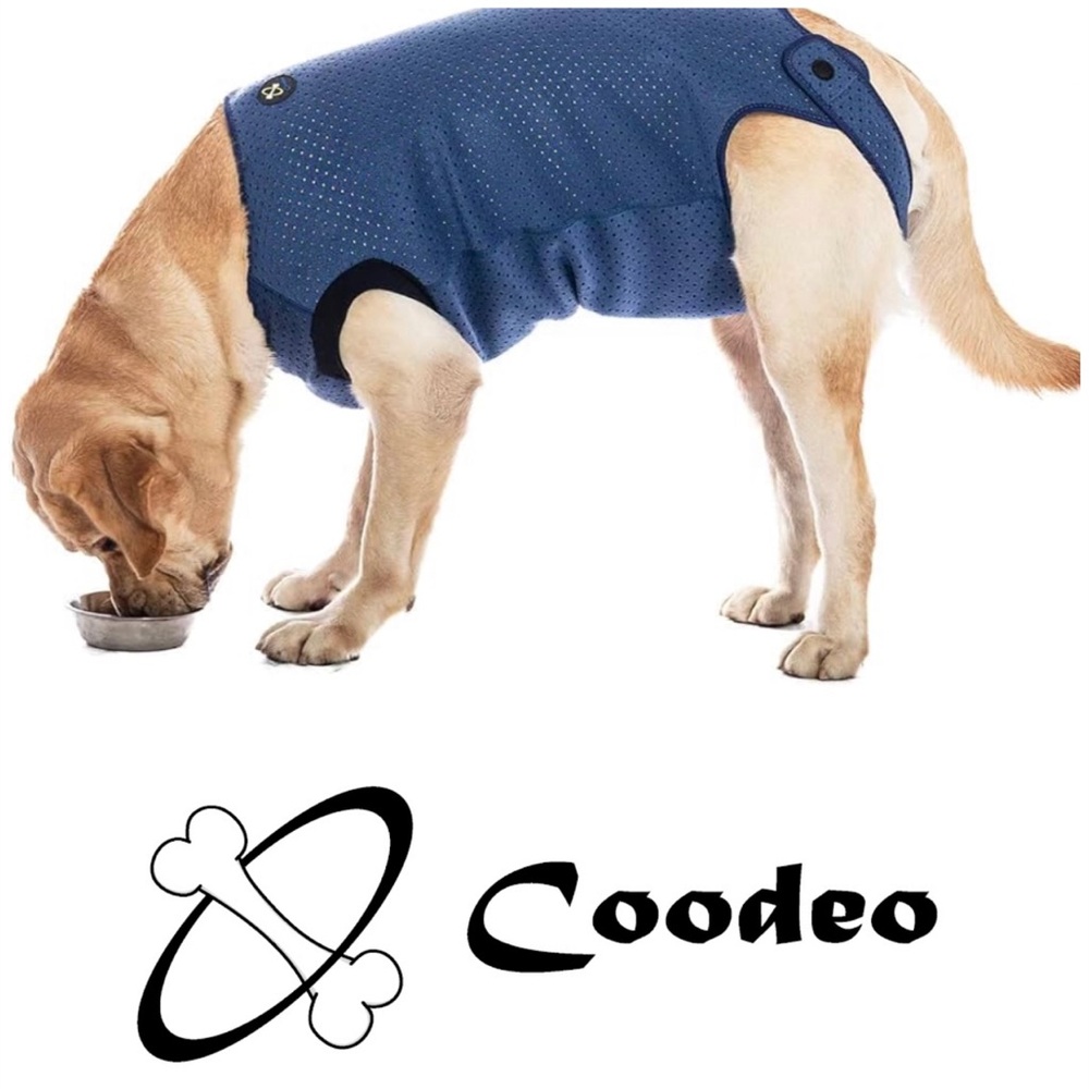 XXXXL Coodoo post-surgery vest for dog